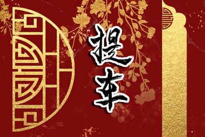 2025年03月09日(农历二月初十)提车避凶了没？ 今日买新车适合吗？