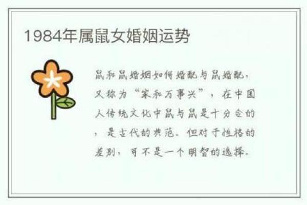 出生属鼠的运程与性格分析