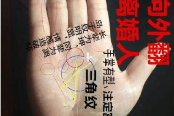 阳命与阴命的区别与联系
