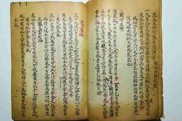 阳命与阴命的区别与联系