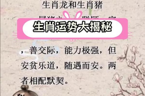十二生肖运势全解析 详解各生肖运程起伏