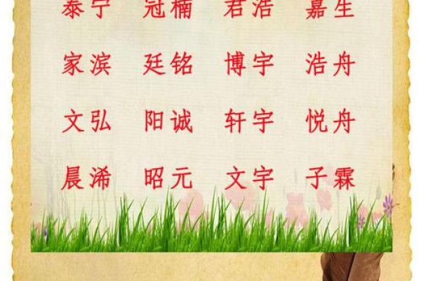 徐姓女孩名字的寓意与起名技巧解析