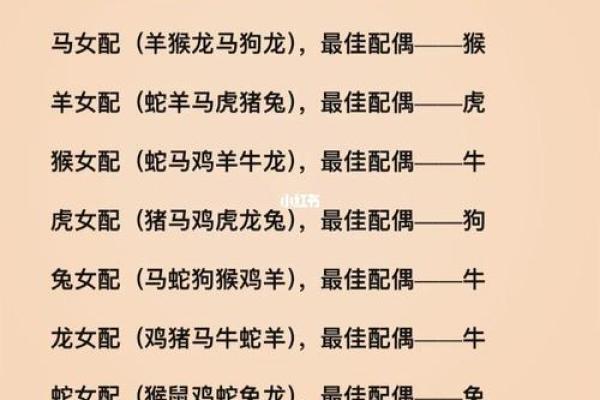 通过生肖与生辰八字选择最佳事业方向