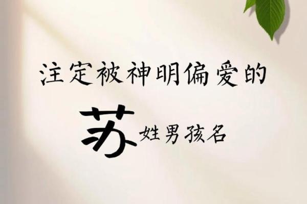 苏姓宝宝起名大全，打造独特个性名字