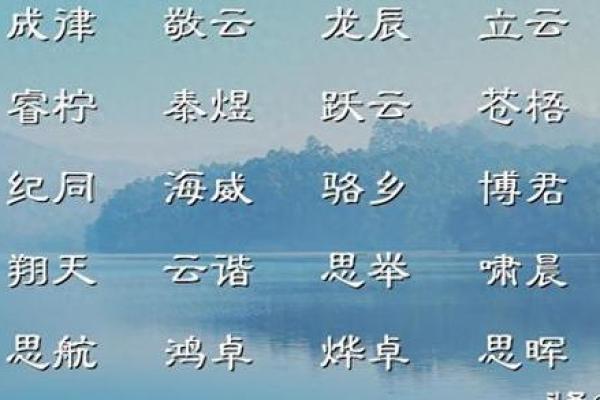创造特别的亲子名字：让父母与孩子名字相得益彰
