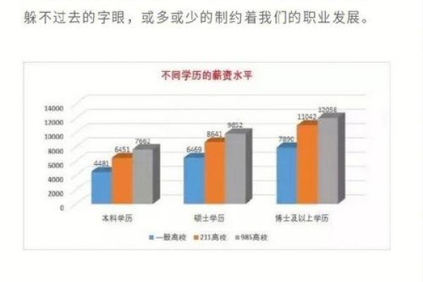 命带的特点与命运走向的深度剖析