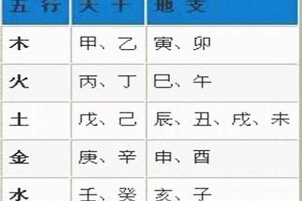 出生的人五行属什么命解析
