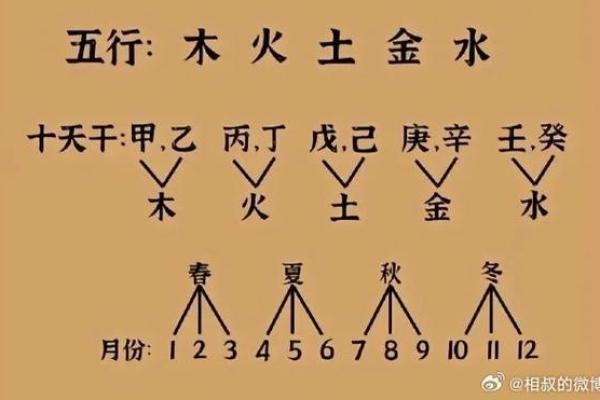 了解生辰八字的基本构成与五行命理关系