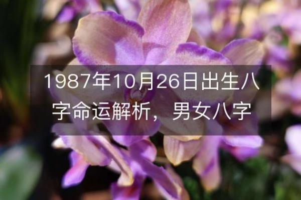 出生的人生八字解析：命运的启示