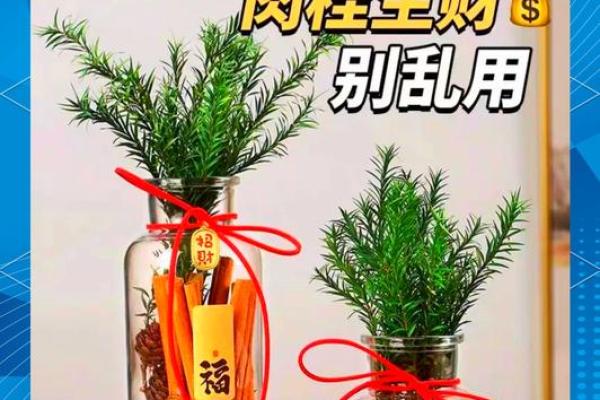 财位花卉摆放风水技巧助力财运提升