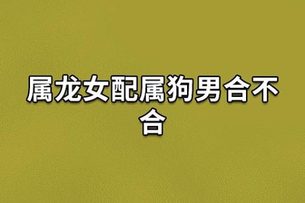 属狗女和属牛男是否天作之合