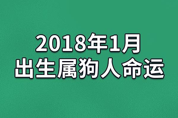 出生属狗的每月运程预测