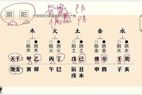 通过五行推算生辰八字的事业运势