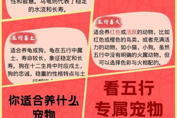 大字五行属性解析与相关文化意义