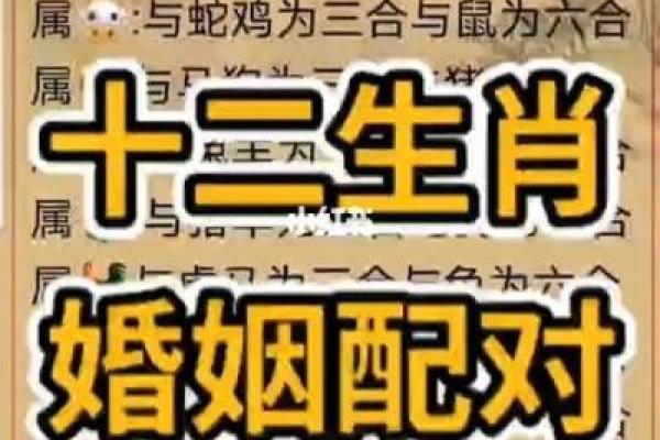 火兔命人适合的职业与婚姻配对
