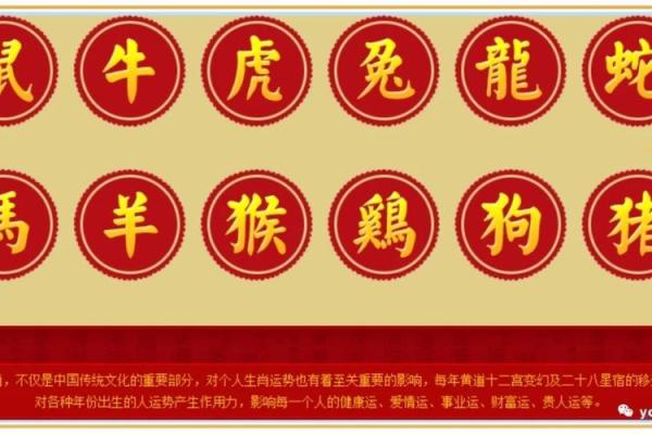 运势大揭秘：各大生肖的命运走向
