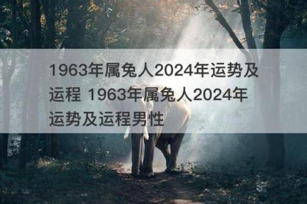 兔年运势全解析：各方面运程与注意事项