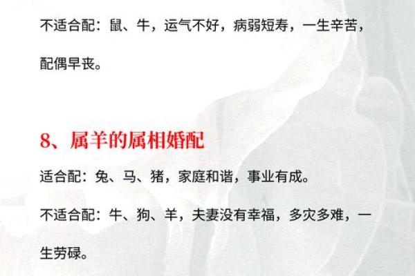 生肖配对指南：揭秘属相相合与相冲的奥秘