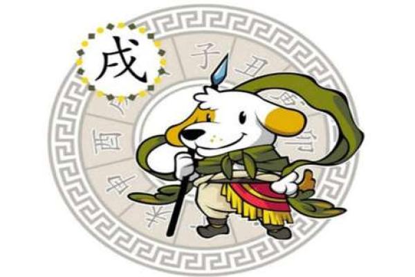 属狗人的运势如何？解读年度关键运势变化