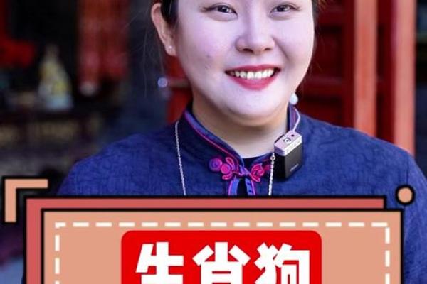 属狗人的运势如何？解读年度关键运势变化