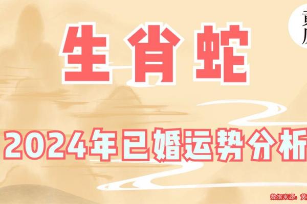 蛇年出生的人运程解析