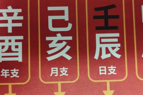 出生的人属什么命及其性格特点解析