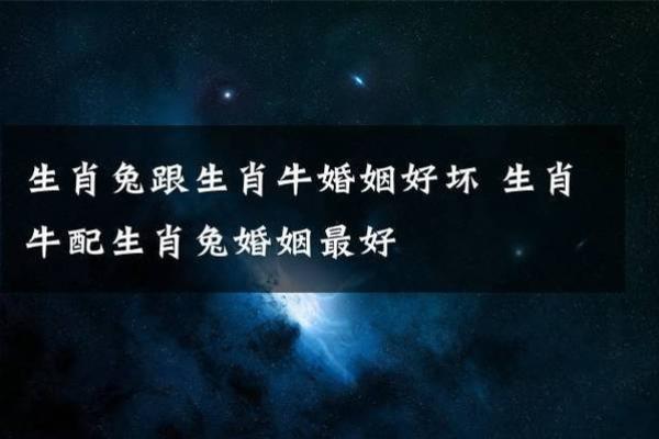 生肖兔女与猪男的婚姻运势如何？专家解析