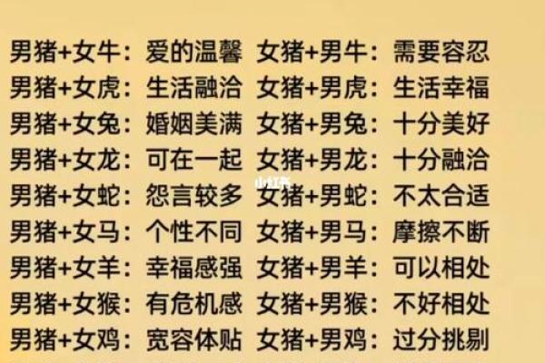 生肖兔女与猪男的婚姻运势如何？专家解析