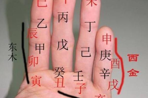 生辰八字与命名学的关系解析