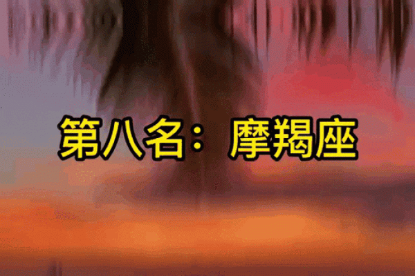 哪些星座注定是劳碌命 一生忙碌不停歇的星座排行