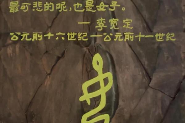 深入探讨女命的构成与影响因素