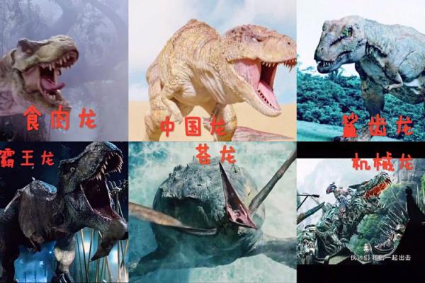 生肖龙运势解析：从事业到爱情的全年运势全盘点