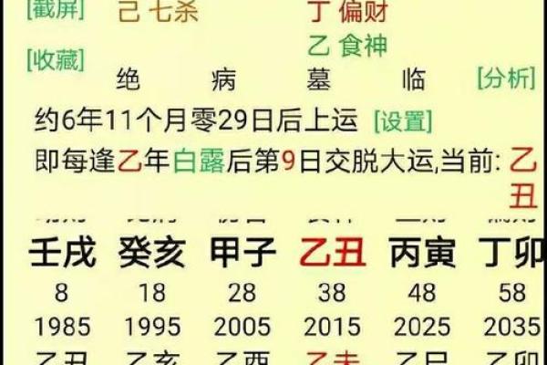 胎命身对一生命运的影响与命理分析