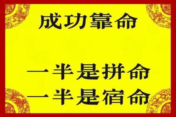 命与运的辩证关系：你能掌控多少