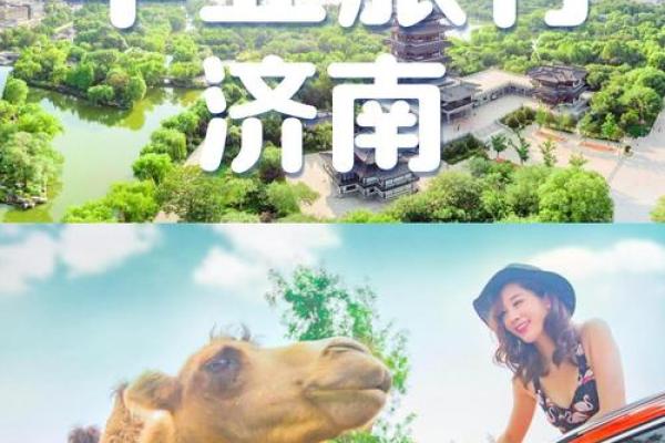 桥名字如何反映城市文化与历史底蕴