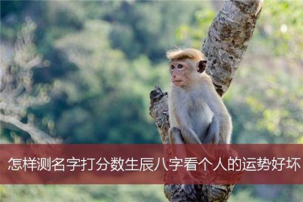 下载生辰八字算命APP，让你准确掌握未来运势