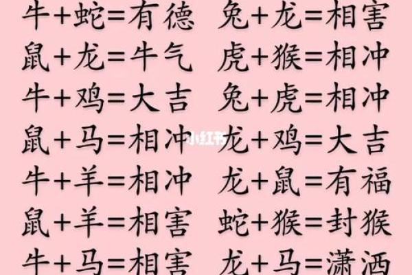 如何通过生辰八字了解你的生肖特征