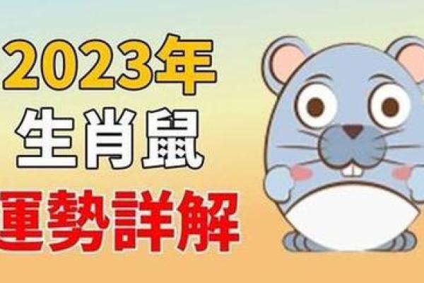 猴运势报告：贵人运与财运的双重考验