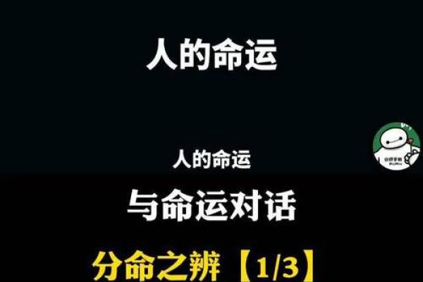 年命与命运关系探讨