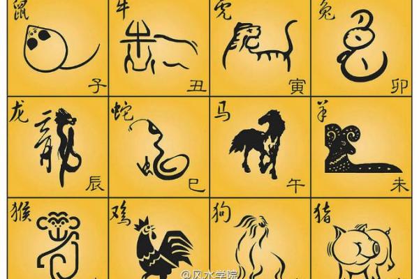 羊年整体运势预测