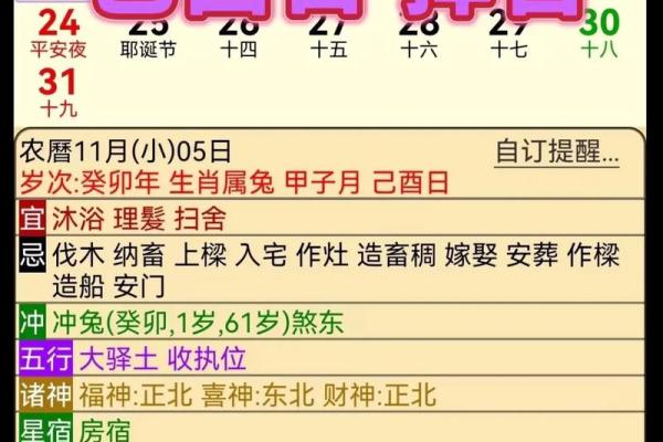 十二生肖运势分析与全年运程概览