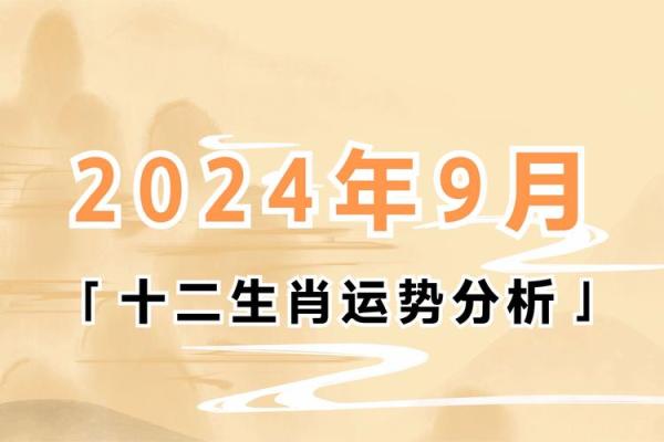 十二生肖运势分析与全年运程概览