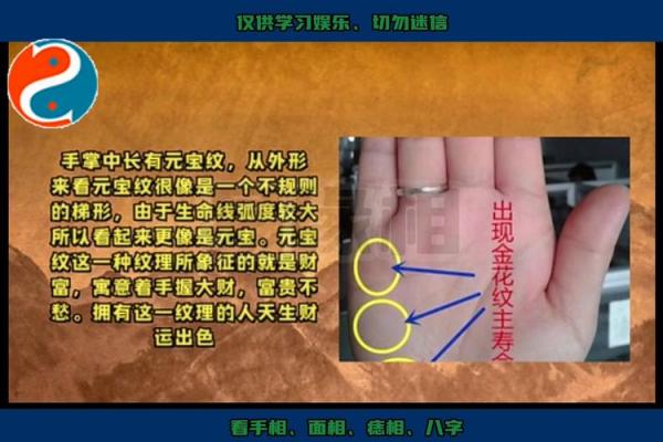 手相分析：哪些手掌特征预示富贵