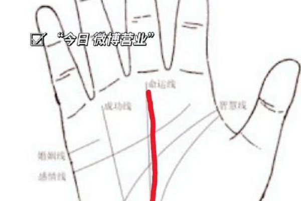 手相分析：哪些手掌特征预示富贵