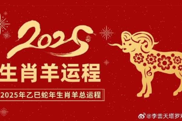 属羊每月运势全解析，助你把握全年运程