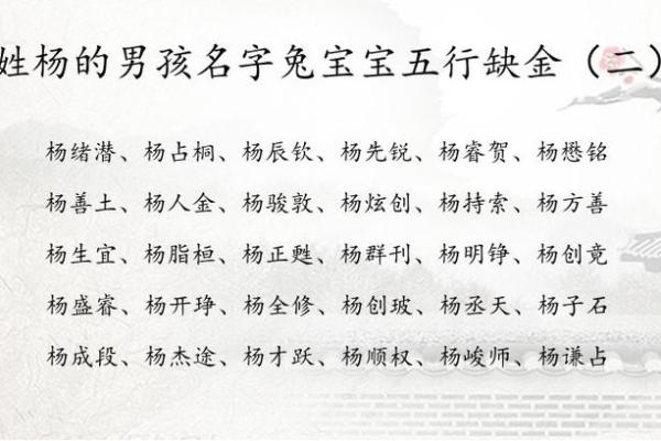 如何为杨姓男孩取一个有意义的名字