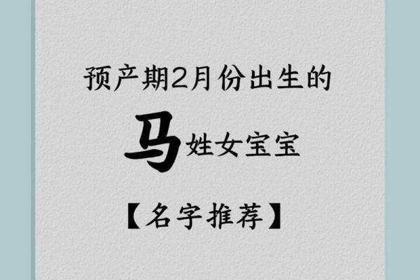 最受欢迎的马男孩名字精选