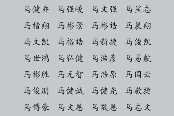 最受欢迎的马男孩名字精选