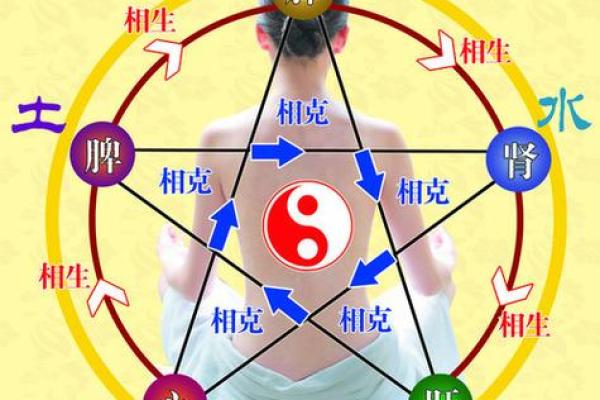 命带的含义及其对人生影响解析