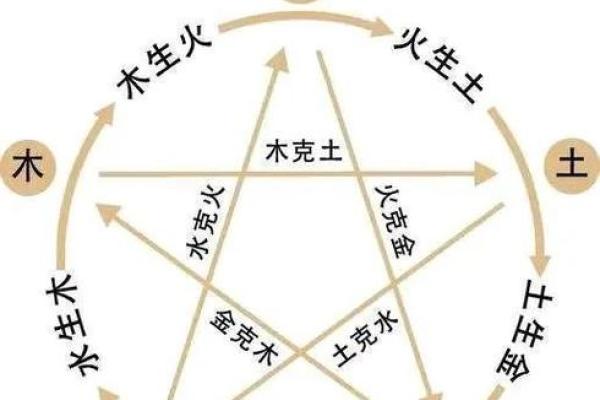 什么虎是水命？解读五行中虎与水的关系